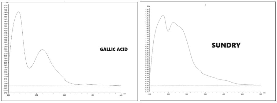 XXXXXXXXXXXX XXXXXXXXXXXX