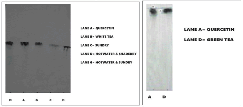 XXXXXXXXXXXX XXXXXXXXXXXX