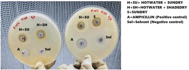 XXXXXXXXXXXX XXXXXXXXXXXX