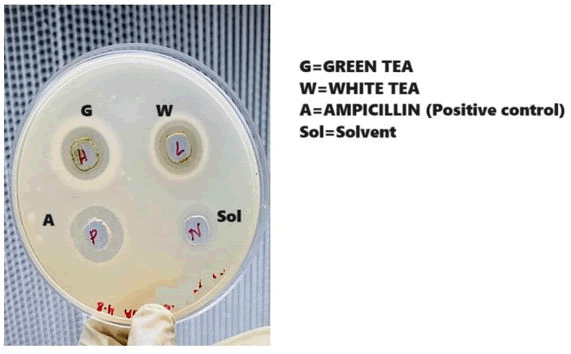 XXXXXXXXXXXX XXXXXXXXXXXX