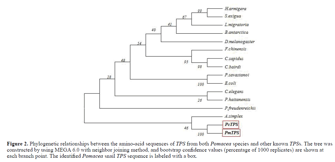 Gene-Silencing-Phylogenetic