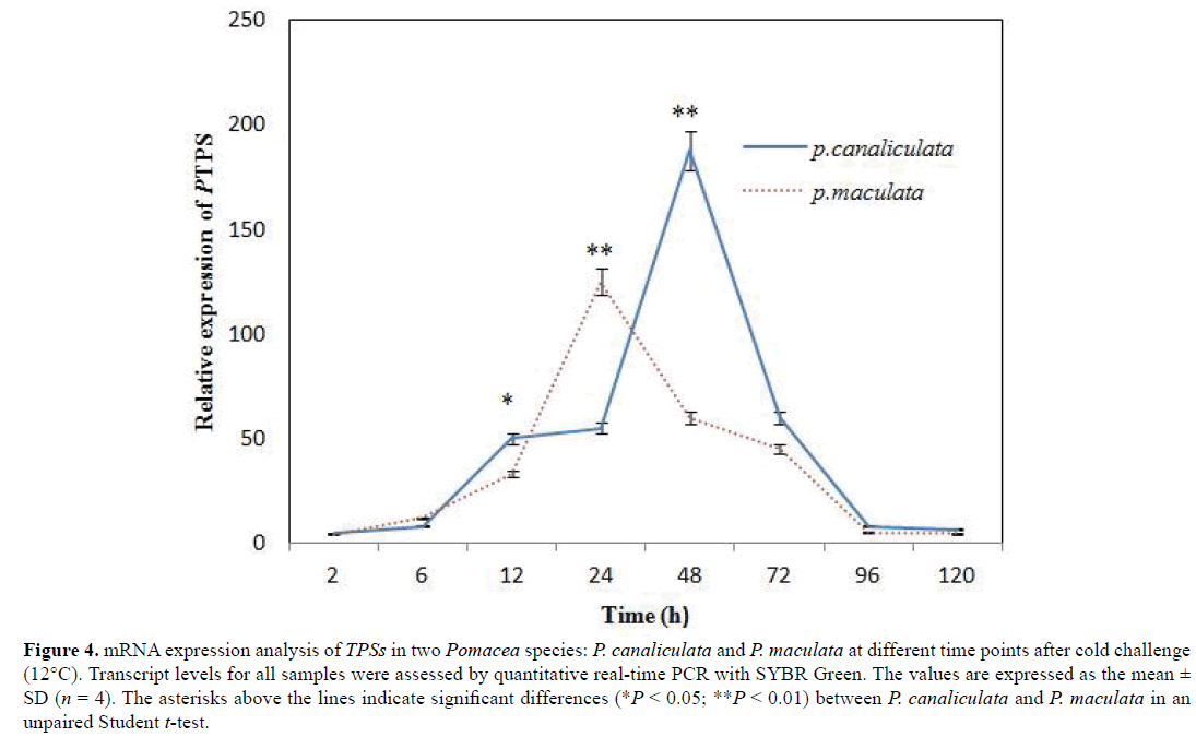 Gene-Silencing-SYBR-Green