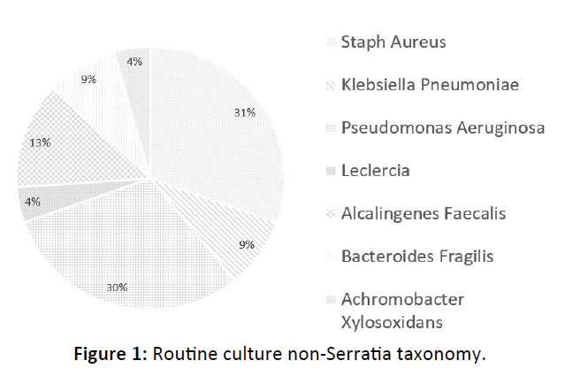 Otolaryngology-Nasal-Routine-culture