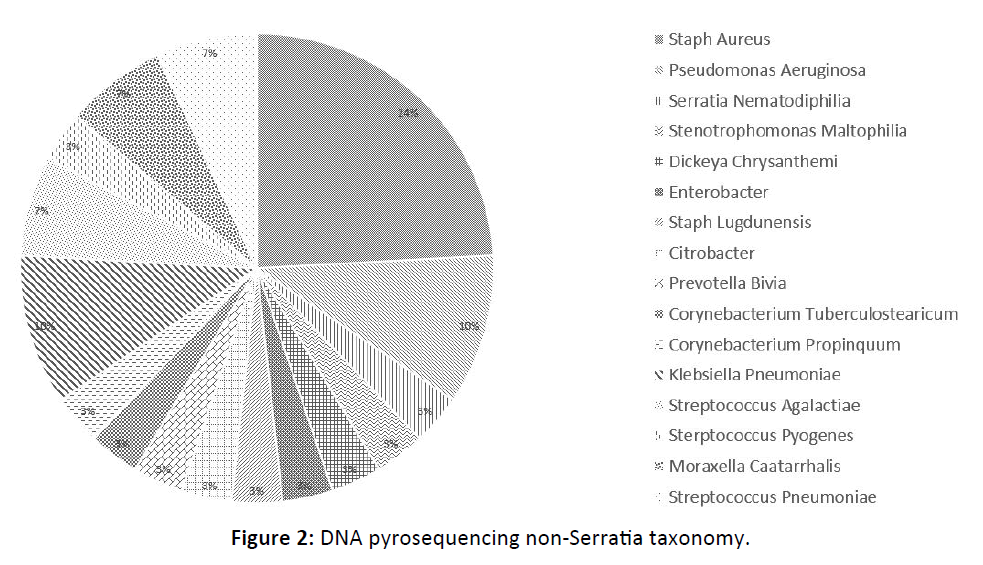 Otolaryngology-Nasal-non-Serratia