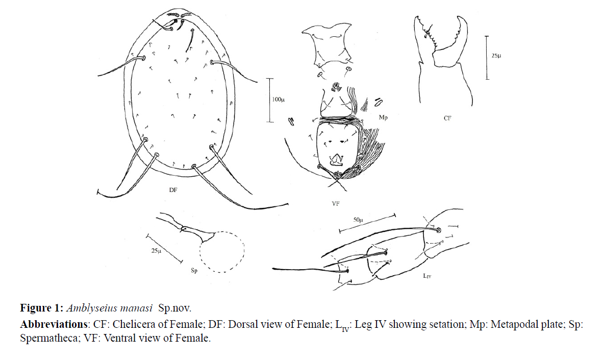 Pure-Applied-Zoology-Amblyseius-manasi