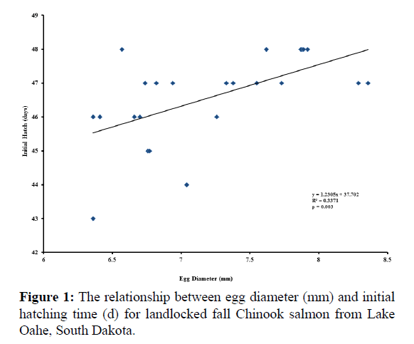 Pure-Applied-Zoology-Chinook-salmon