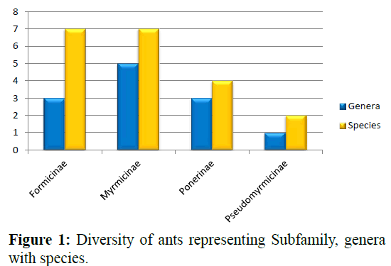 Pure-Applied-Zoology-Diversity-ants