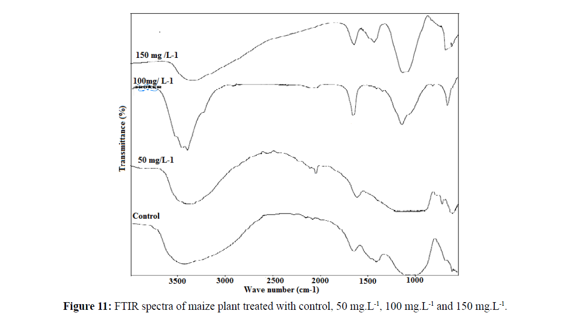 Pure-Applied-Zoology-FTIR-spectra-maize-plant
