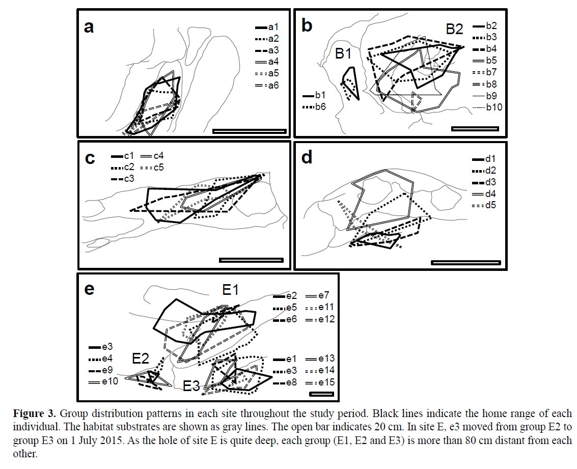 Pure-Applied-Zoology-Group-distribution