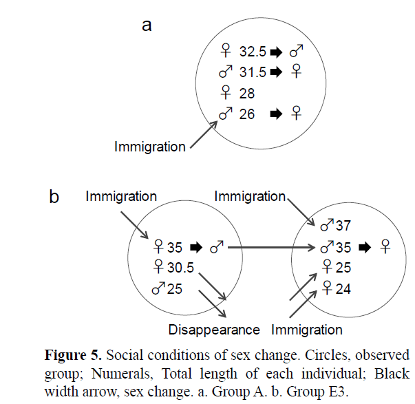 Pure-Applied-Zoology-Social-conditions