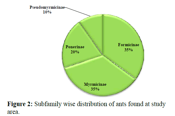 Pure-Applied-Zoology-Subfamily