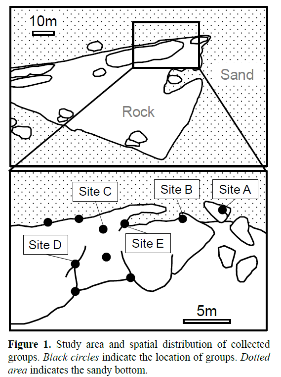 Pure-Applied-Zoology-spatial-distribution