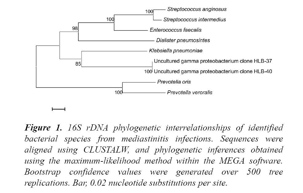 advances-cell-science-interrelationships