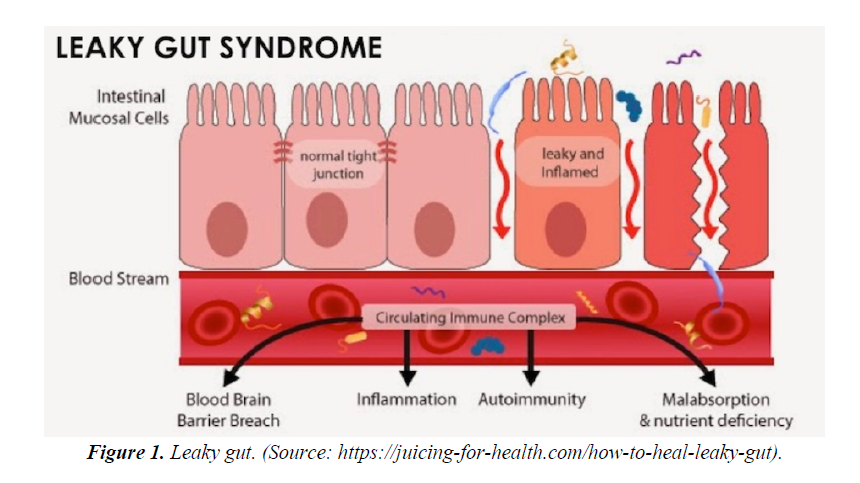 advances-cell-science-leaky-gut