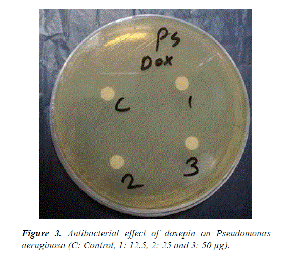 advances-cell-science-pseudomonas