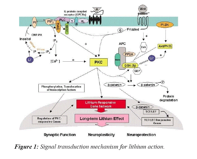 advances-cell-science-signal-transduction