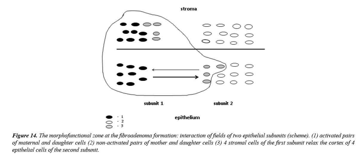 aging-geriatric-psychiatry-fibroadenoma