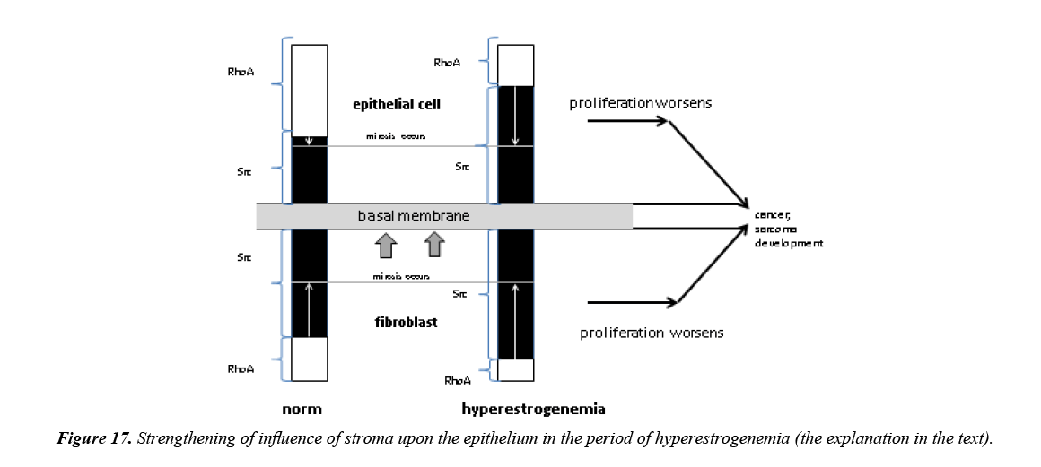 aging-geriatric-psychiatry-hyperestrogenemia