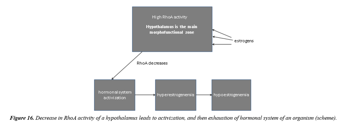 aging-geriatric-psychiatry-hypothalamus