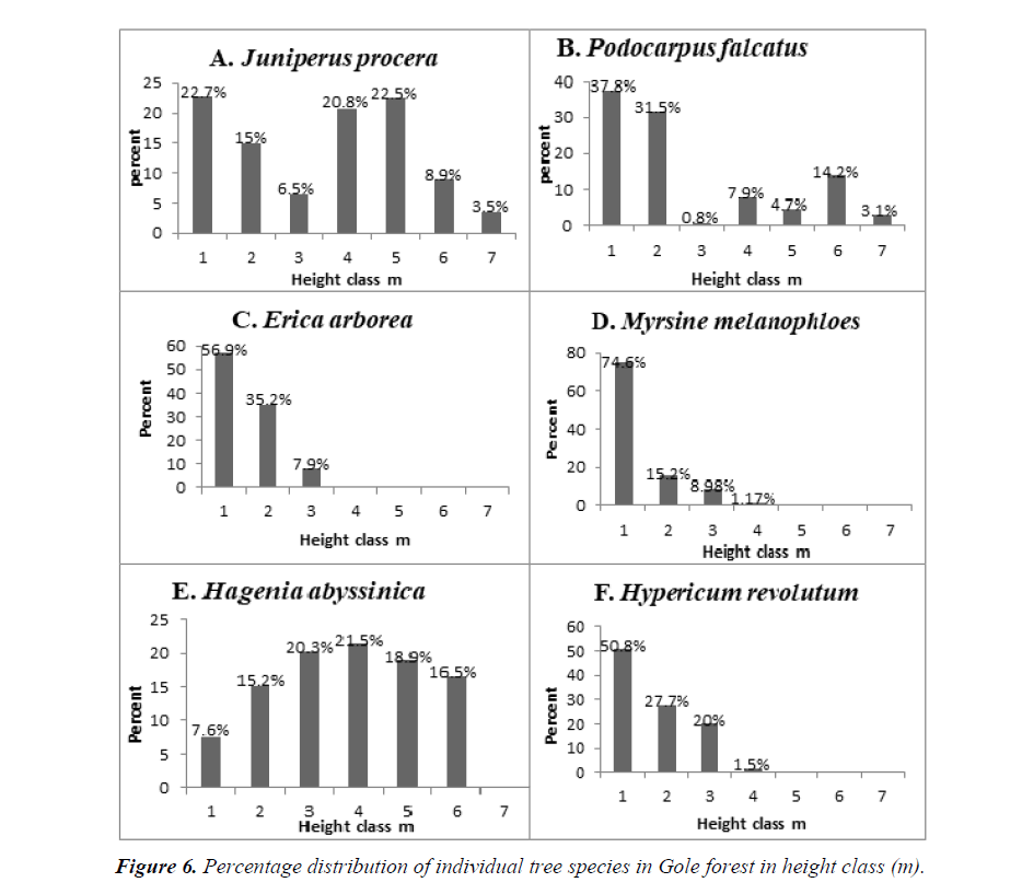 agricultural-science-Gole-forest