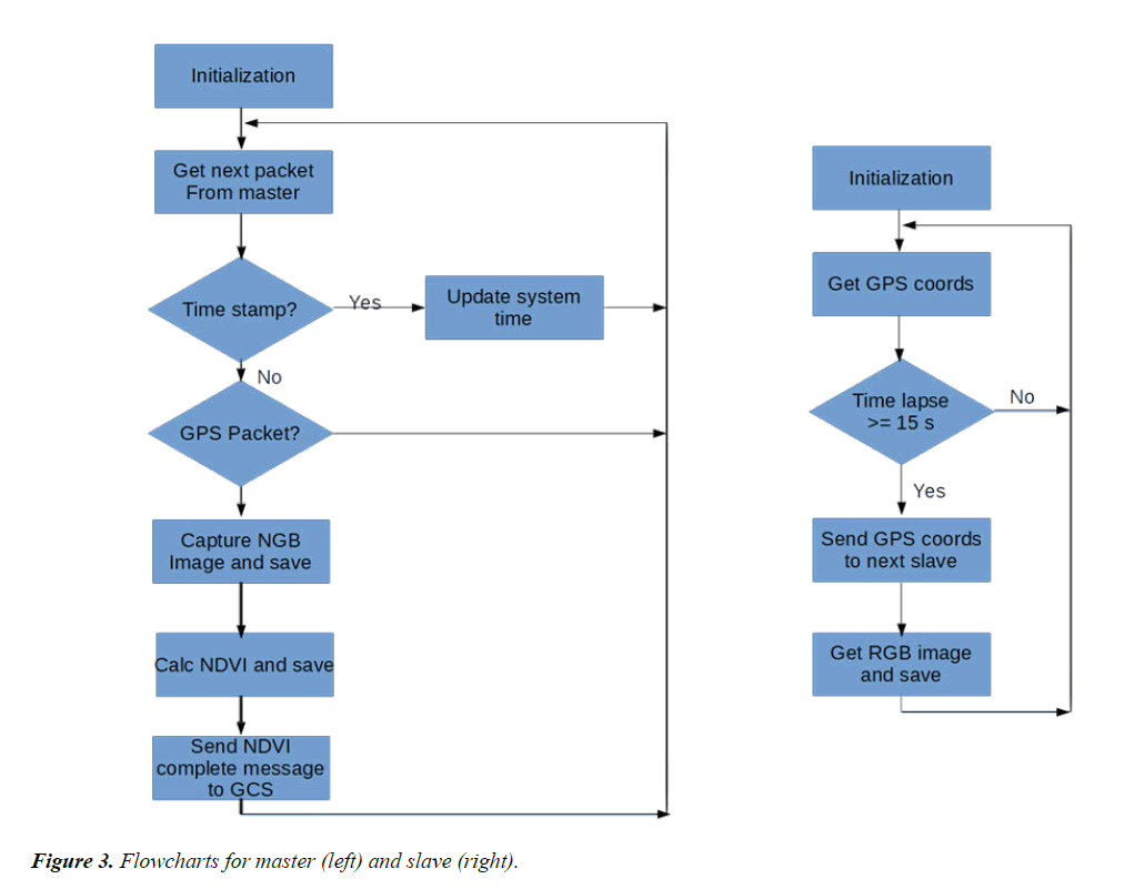 agricultural-science-botany-Flowcharts-master