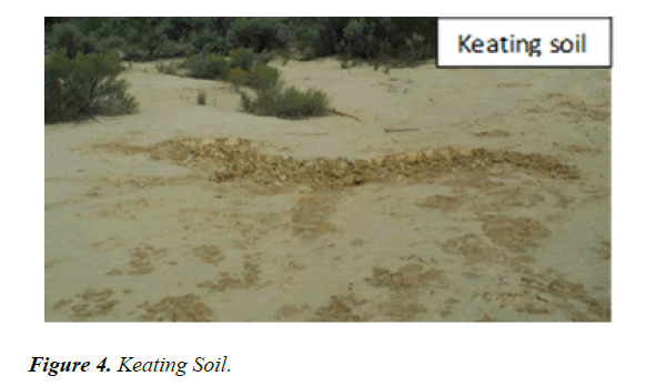 agricultural-science-botany-Keating-Soil