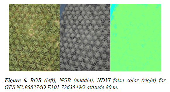 agricultural-science-botany-RGB