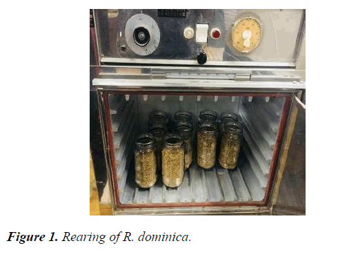 agricultural-science-botany-Rearing