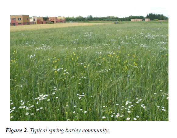 agricultural-science-botany-barley-community