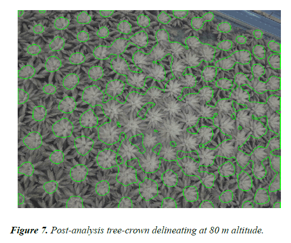 agricultural-science-botany-delineating