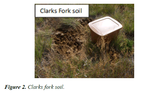 agricultural-science-botany-fork-soil
