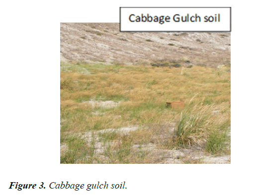 agricultural-science-botany-gulch-soil