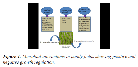 agricultural-science-botany-interactions