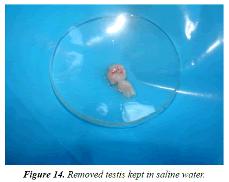 agricultural-science-botany-saline-water