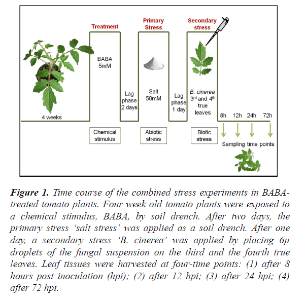 agricultural-science-botany-stress-experiments