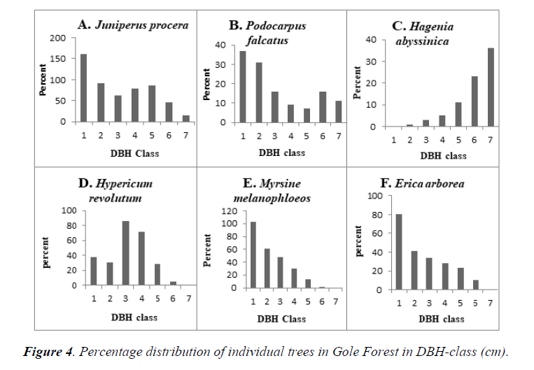 agricultural-science-individual-trees