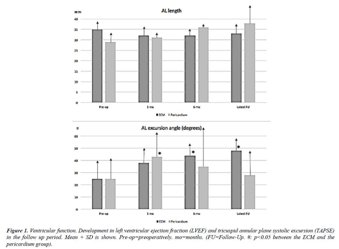 annals-cardiovascular-Ventricular-function