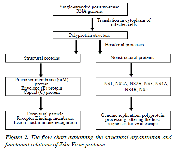 annals-of-clinical-trials-and-vaccines-research-flow-chart