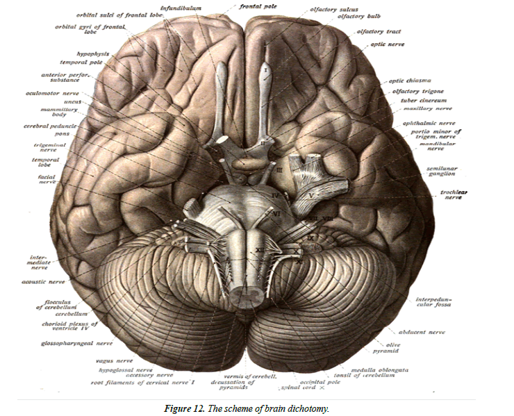 applied-mathematics-statistical-applications-brain