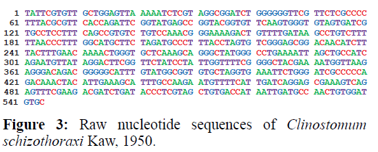 applied-zoology-nucleotide-organs