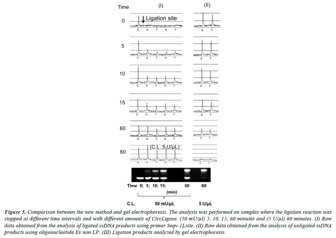 archives-of-industrial-biotechnology-electrophoresis