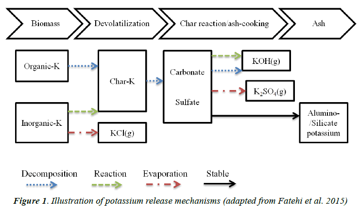 archives-of-industrial-biotechnology-potassium-release