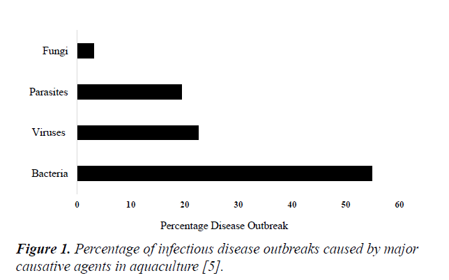 bacteriology-infectious-diseases-disease-outbreaks