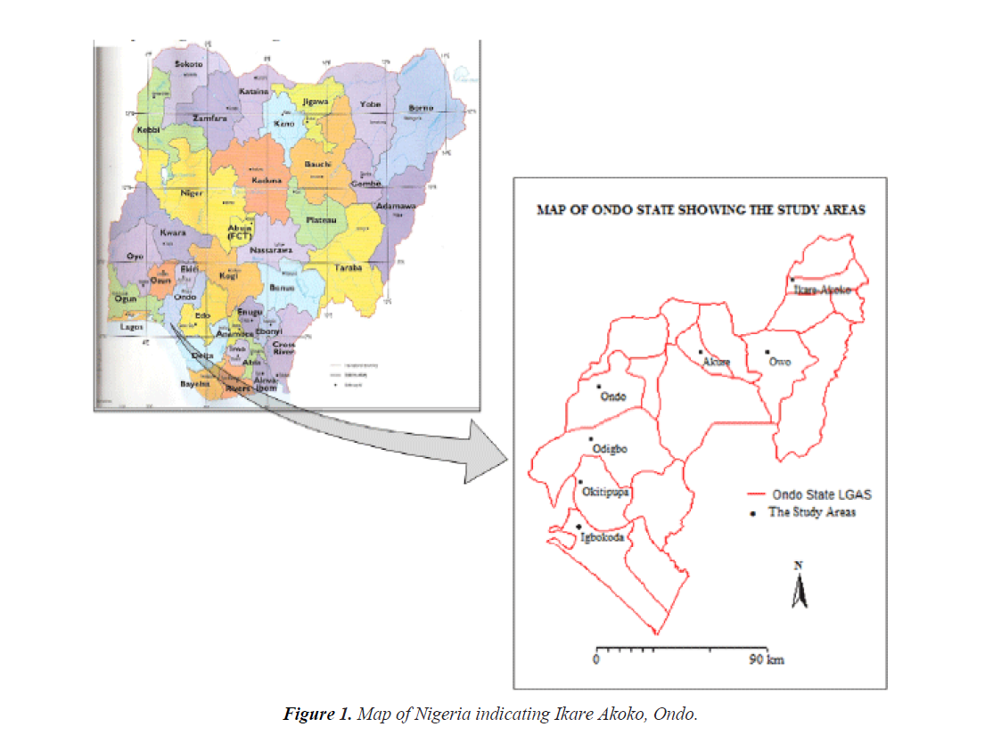 bacteriology-infectious-diseases-indicating-Ikare-akoko