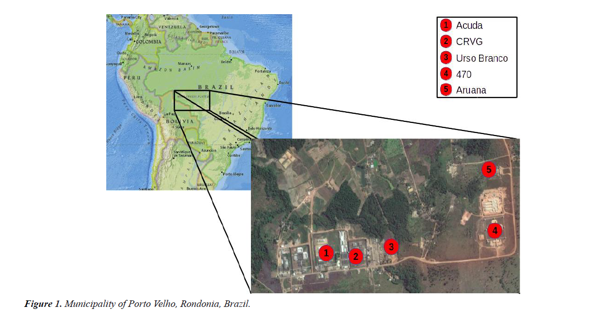 bacteriology-infectious-diseases-porto-velho