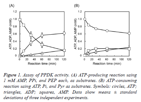 biochemistry-biotechnology-PPDK-activity