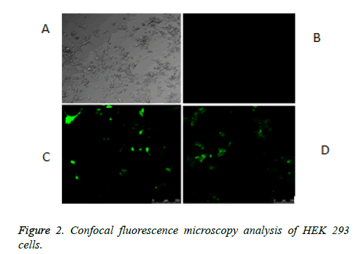 biochemistry-biotechnology-fluorescence