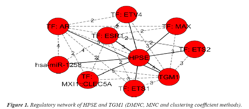 biology-medicine-case-report-Regulatory-network