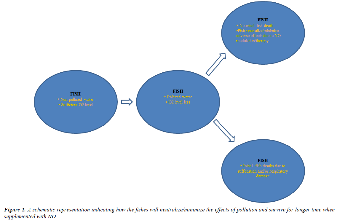 biology-medicine-case-report-effects-pollution