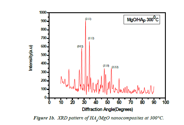 biology-medicine-case-report-nanocomposites